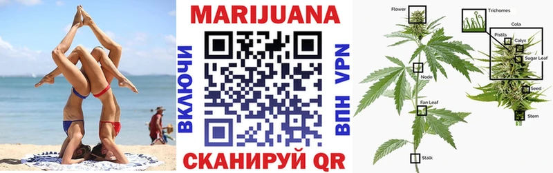 Конопля семена  Купить где  Луховицы 